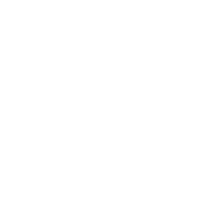 Buy Instagram Followers at cheap price ig marvel